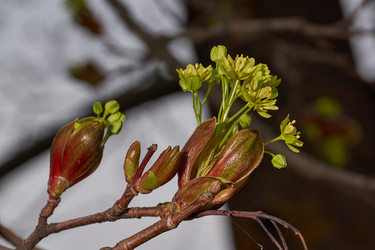 Similar image 21640153