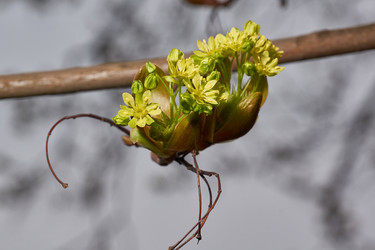 Similar image 21640154