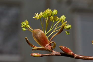 Similar image 21640216