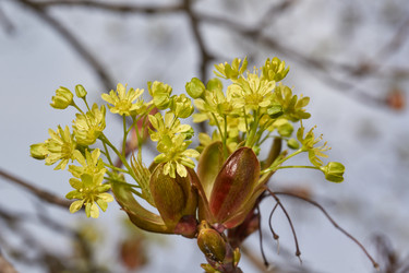 Similar image 21640217