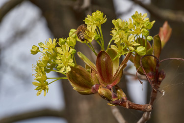 Similar image 21639175