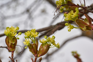 Similar image 21640218