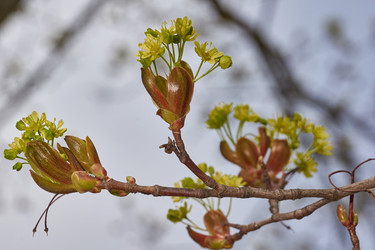 Similar image 21640220