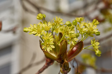 Similar image 21640221