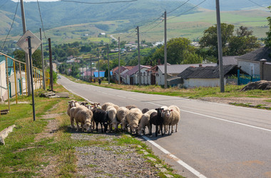 Similar image 21639936