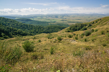 Similar image 21639937