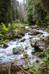 Similar image 21639946