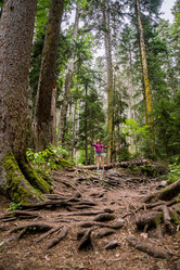 Similar image 21639947