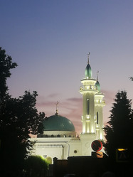 Similar image 21639954