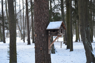 Similar image 21639547