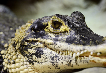 Similar image 21639562