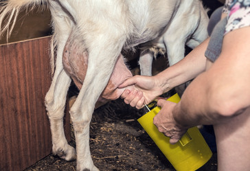 Similar image 21642513