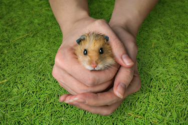 Similar image 21639563