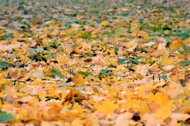 Similar image 21642514