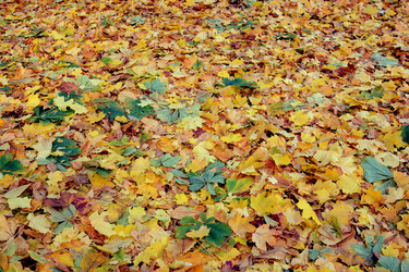 Similar image 21639564