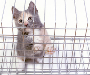 Similar image 21642529