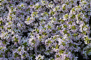 Similar image 21639580