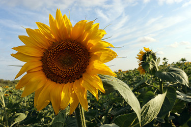 Similar image 21639581