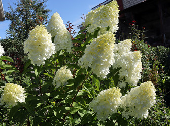 Similar image 21639583