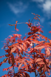 Similar image 21640486