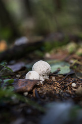 Similar image 21640490