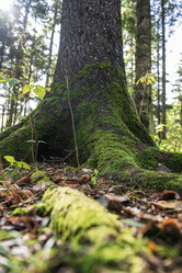 Similar image 21640491