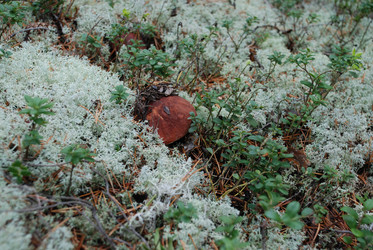 Similar image 21639733