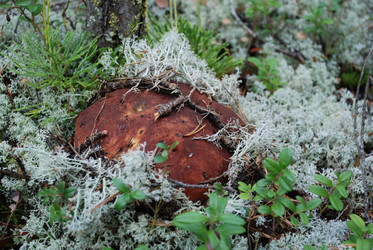 Similar image 21639735