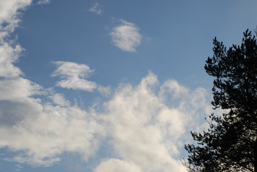 Similar image 21639738