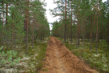 Similar image 21639745