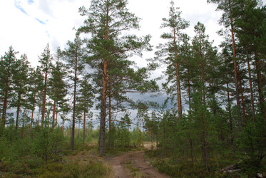 Similar image 21639749