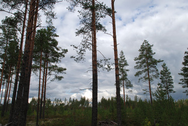 Similar image 21639751