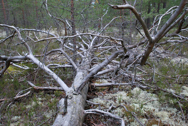 Similar image 21639752