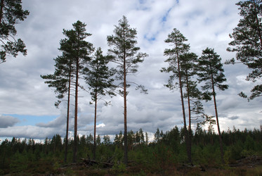 Similar image 21639753