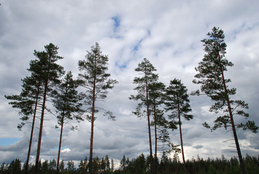 Similar image 21639755