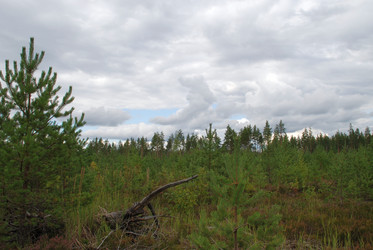 Similar image 21639757