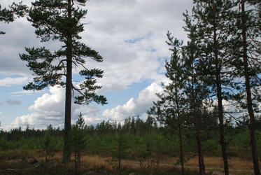 Similar image 21639759