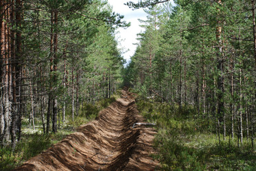 Similar image 21639760