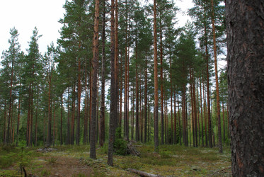 Similar image 21639762