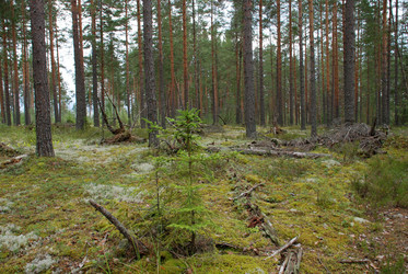 Similar image 21639764