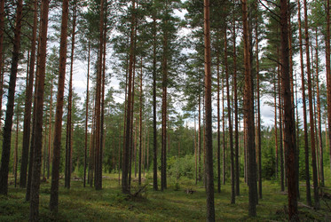 Similar image 21639766