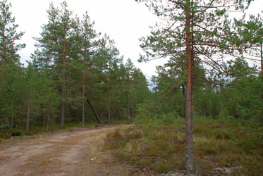 Similar image 21639767