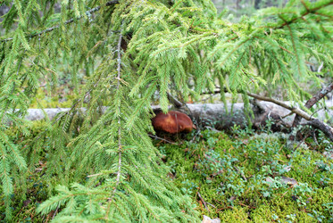 Similar image 21639769