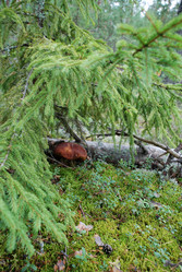 Similar image 21639771