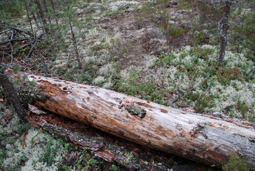 Similar image 21639772