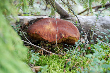 Similar image 21639773