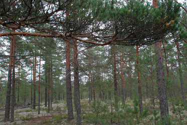 Similar image 21639774