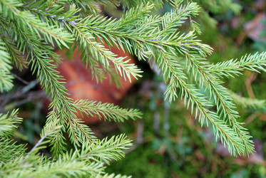 Similar image 21639775