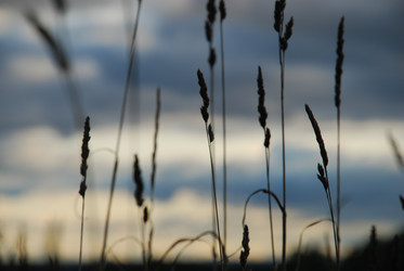 Similar image 21640605