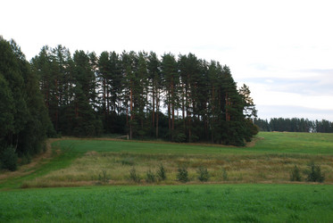 Similar image 21640608